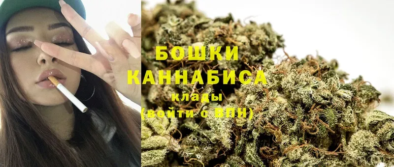 продажа наркотиков  Боровичи  Бошки Шишки OG Kush 